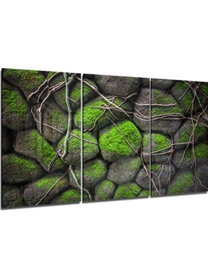 Insigne Yosunlu Taşlar Mega Cam Tablo - 3 Adet 72X46 cm