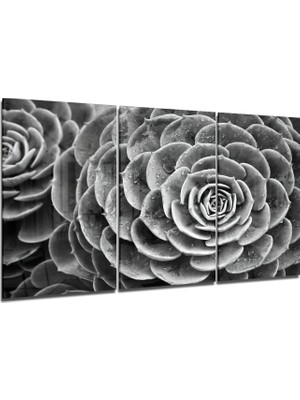 Insigne Sukulent Cam Tablo - 3 Adet 72X46 cm