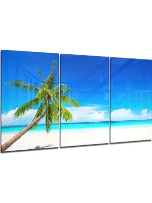 Insigne Sahildeki Palmiye Cam Tablo - 3 Adet 72X46 cm