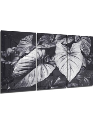 Insigne Yapraklar Cam Tablo - 3 Adet 72X46 cm