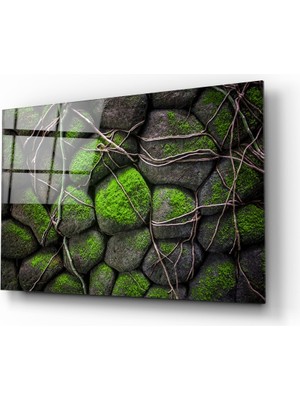 Insigne Yosunlu Taşlar Cam Tablo - 72X46 cm