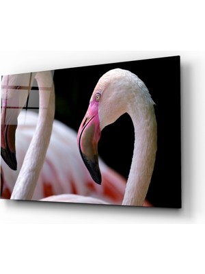 Insigne Flamingo Cam Tablo - 72X46 cm