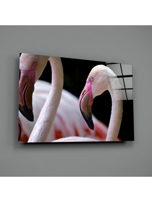 Insigne Flamingo Cam Tablo - 72X46 cm