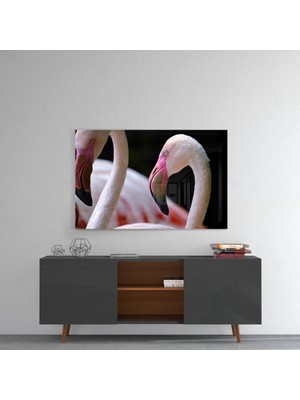 Insigne Flamingo Cam Tablo - 72X46 cm