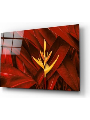 Insigne Kızıl Yapraklar Cam Tablo - 72X46 cm