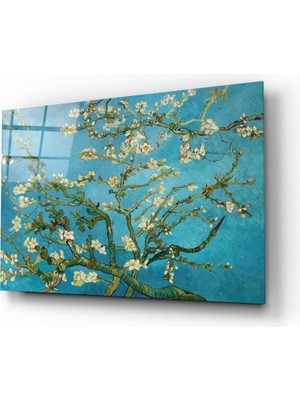 Insigne Beyaz Çiçekler Cam Tablo - 72X46 cm