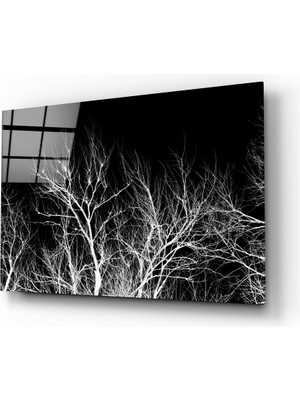 Insigne Ağacın Gecesi Cam Tablo - 72X46 cm