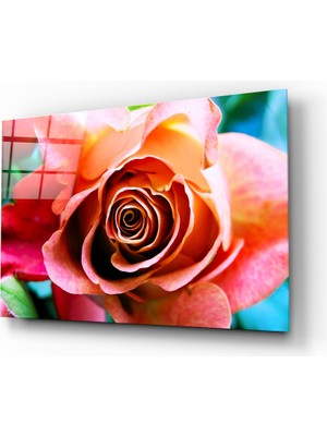 Insigne Gül Cam Tablo - 110X70 cm
