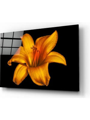 Insigne Zambak Cam Tablo - 72X46 cm