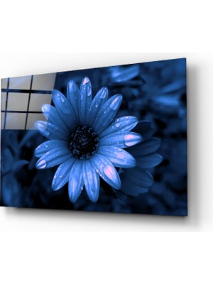 Insigne Çiçek Cam Tablo - 72X46 cm
