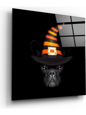 Insigne Köpek Cam Tablo - 60X60 cm