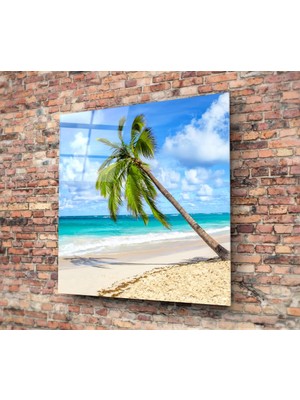 Insigne Palmiye Ağacı Cam Tablo - 60X60 cm