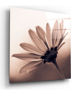Insigne Çiçek Cam Tablo - 60X60 cm