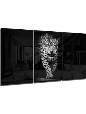 Insigne Karanlıktaki Leopar Mega Cam Tablo - 3 Adet 72X46 cm