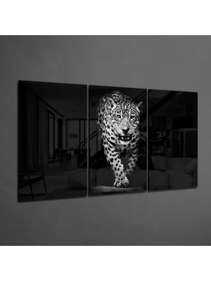 Insigne Karanlıktaki Leopar Mega Cam Tablo - 3 Adet 72X46 cm