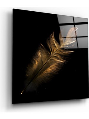 Insigne Renkli Tüy Cam Tablo - 60X60 cm