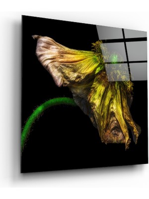 Insigne Çiçek Cam Tablo - 40X40 cm