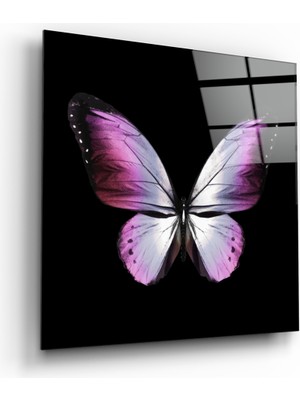 Insigne Kelebeğin Zarafeti Cam Tablo - 40X40 cm