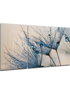 Insigne Karahindiba Mega Cam Tablo - 3 Adet 72X46 cm