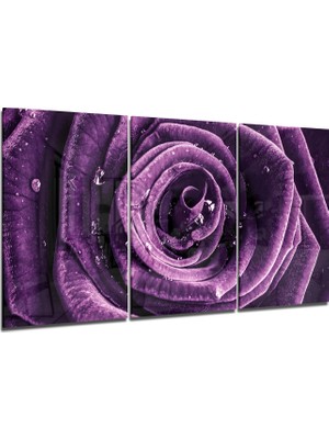 Insigne Gül Cam Tablo - 3 Adet 72X46 cm