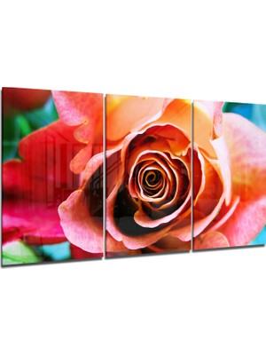 Insigne Gül Cam Tablo - 3 Adet 72X46 cm