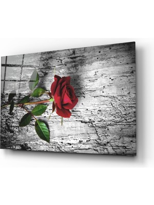 Insigne Kırmızı Gül Cam Tablo - 72X46 cm