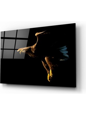 Insigne Kartal Cam Tablo - 72X46 cm