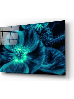 Insigne Malvales Çiçeği Cam Tablo - 72X46 cm