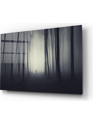 Insigne Sisli Orman Cam Tablo - 72X46 cm