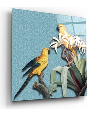 Insigne Papağan Cam Tablo - 40X40 cm