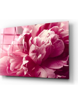 Insigne Pembe Çiçek Cam Tablo - 72X46 cm