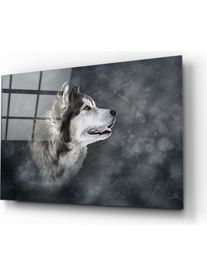 Insigne Kurt Cam Tablo - 72X46 cm