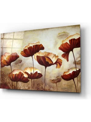 Insigne Gelincik Cam Tablo - 72X46 cm