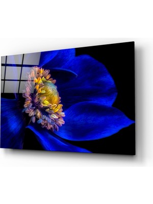 Insigne Çarkıfelek Cam Tablo - 72X46 cm