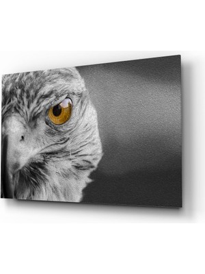 Insigne Şahin Cam Tablo - 72X46 cm