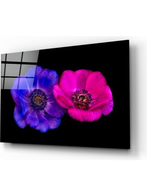 Insigne Taçlı Dağ Lalesi Cam Tablo - 72X46 cm