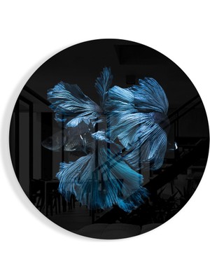 Insigne Balık Cam Tablo - 60X60 cm