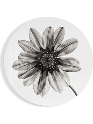 Insigne Çiçek Cam Tablo - 60X60 cm