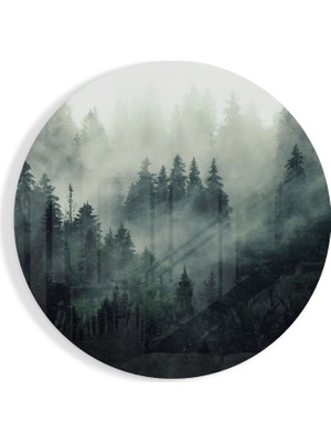 Insigne Sisli Orman Cam Tablo - 60X60 cm
