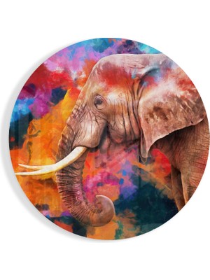 Insigne Fil Kuşağı Cam Tablo - 60X60 cm