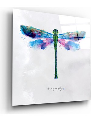 Insigne Yusufçuk Cam Tablo - 40X40 cm