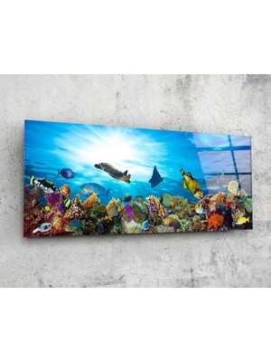 Insigne Deniz 92X36CM Cam Tablo