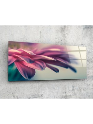 Insigne Makro 92X36CM Cam Tablo