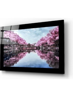 Insigne Sakura Ağaçları Cam Tablo - 110X70 cm