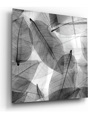 Insigne Siyah-Beyaz Yapraklar Cam Tablo - 40X40 cm