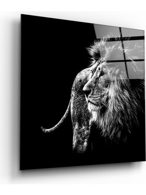 Insigne Aslan Cam Tablo - 40X40 cm