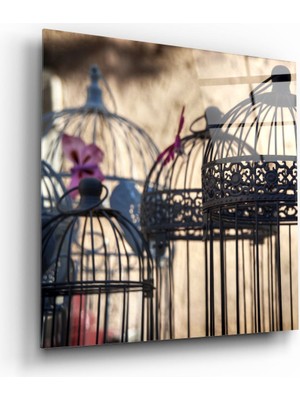 Insigne Kuş Kafesi Cam Tablo - 40X40 cm