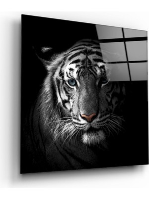 Insigne Kaplan Cam Tablo - 40X40 cm