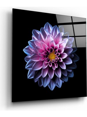 Insigne Mor Çiçek Cam Tablo - 40X40 cm