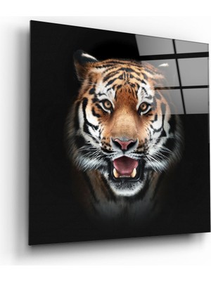 Insigne Kaplan Cam Tablo - 40X40 cm